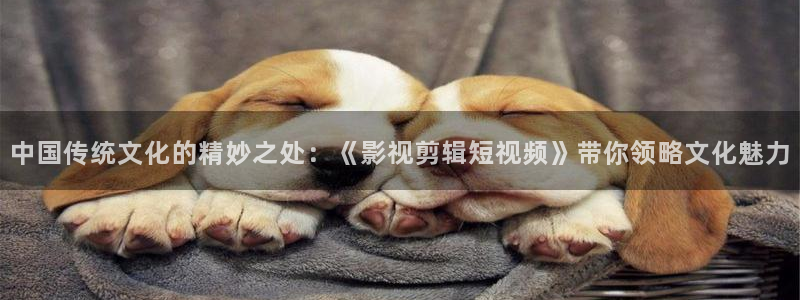 好好看影院：中國(guó)傳統(tǒng)文化的精妙之處：《影視剪輯短視頻》帶你領(lǐng)略文化魅力