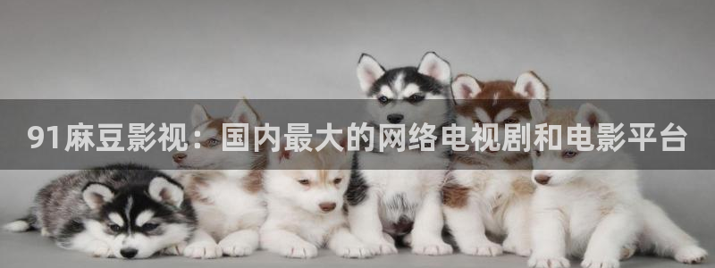 《四庫影視》電視劇在線觀看-好看影院